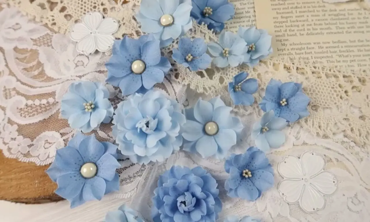 Appliqué and 3D Embroidery